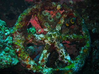 diving story- wheel- Liberty Shipwreck - Amed- Bali 