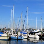 St Petersburg Municipal Marina