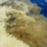 merging of Rio Negros & Rio- Amazon