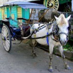 cidomo - Java - Indonesia