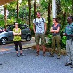 Dev's ADventure Tours - Evening Jungle Walk - Langkawi