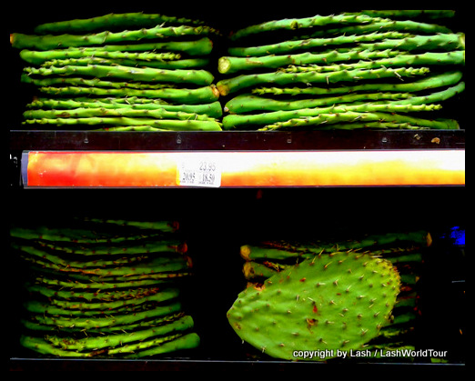 cactus on sale in grocery