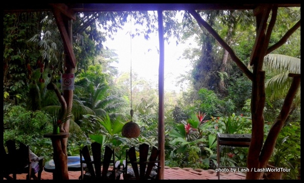 jungle view at Cascada Verde Hostel - Uvita