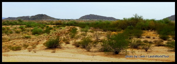 desert at Phoenix - Arizona