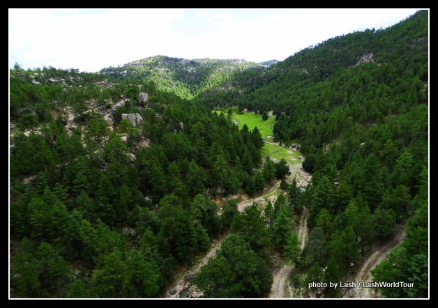 valley and pine forests in Copper Canyon
