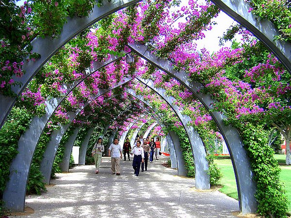 Brisbane- South Bank- flower garden