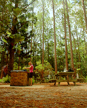 Fraser Island campsite 