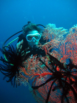scuba diving in bali- diver-Bali - seafans - feather stars
