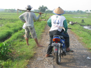 cycling Bali -Bali's southwest coast- Negara