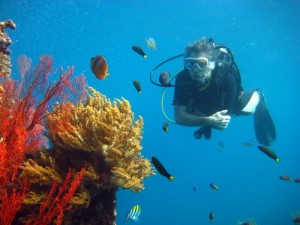 diver on coral reef