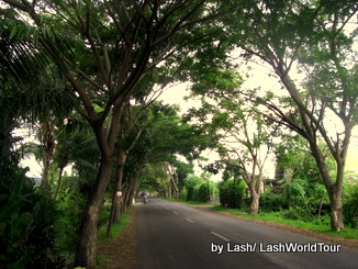 cycling bali- road- north Bali 