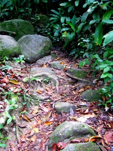 hiking trail- Penang Hill