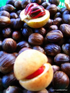 Nutmeg nuts and fruits