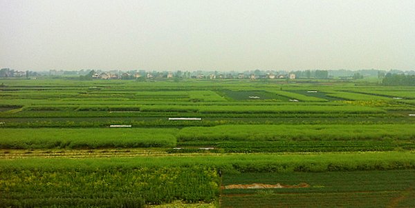 flat fields of Chinese countryside