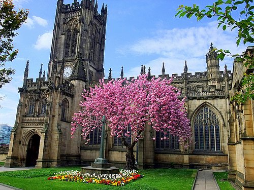 summer in Manchester- Manchester Cathedral - England