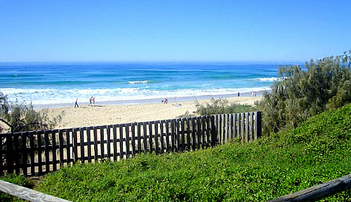 Noosa Beach- Australia