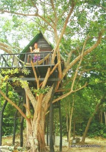 tree house bungalow- Koh Samet- Thailand