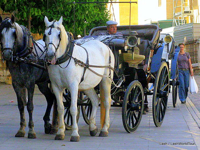 cordoba spain - Cordoba - Horse and carriage - Spain