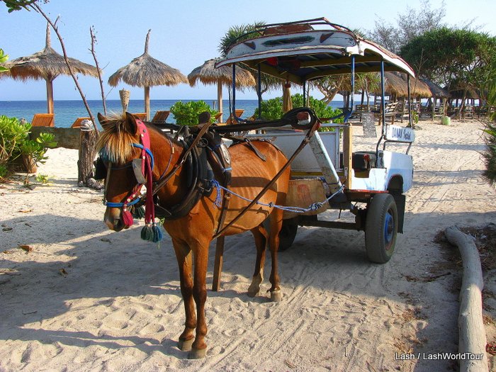 transportation - pony & cart - Gli Meno Island - Lombok - Indonesia