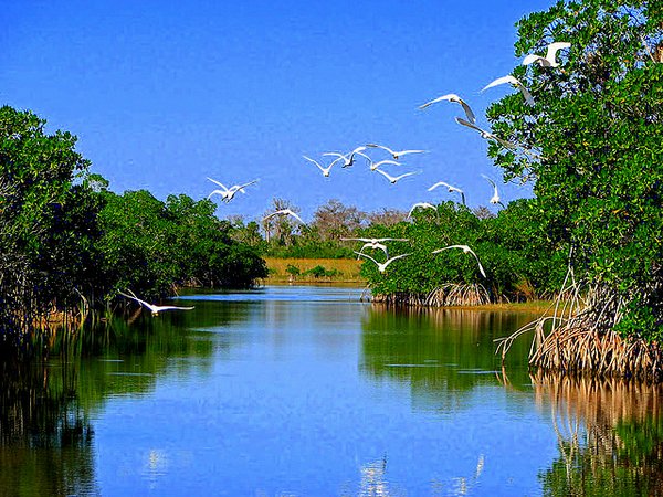 Florida - Everglades National Park
