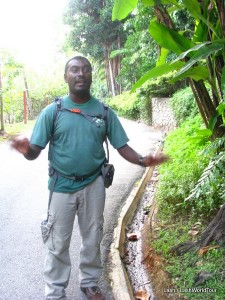 Jerome - Evening Jungle Walk - Langkawi