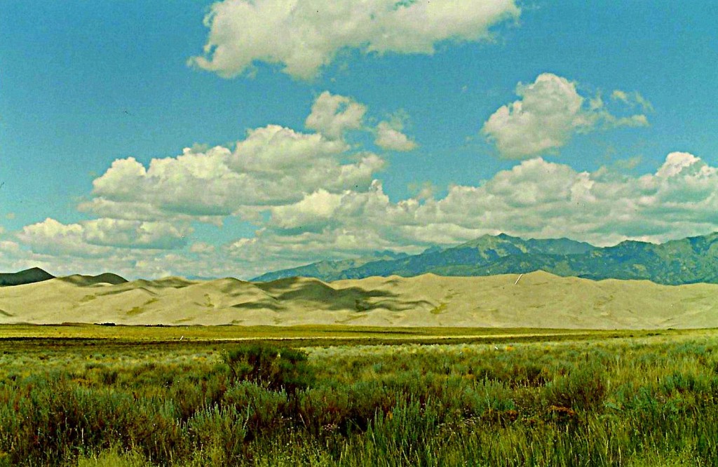tall dunes at Great Sand Dunes National Park in Colorado