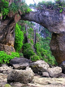 natural rock arch at Neil Island - Andamans