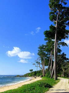 beach at LIttle Andaman