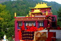 Tibetan Temples in India