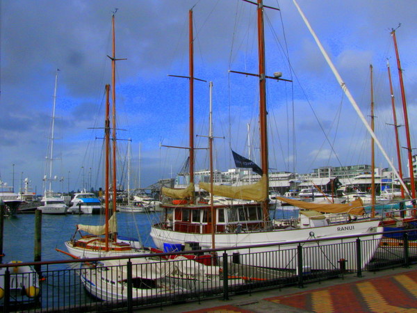 Auckland marina at Viaduct Basin
