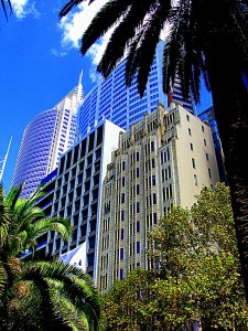 Sydney skyscrapers from park
