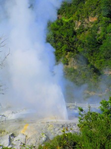 photoso of geothermal earth include Pohutu Geyser - Rotorua - New Zealand