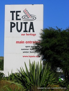 Review of Te Puia Geothermal Valley