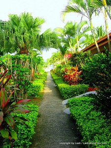 Fiji budget resorts includ Wailoaloa Resort