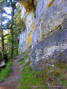 photos of Kepler Track include these limestone cliffs
