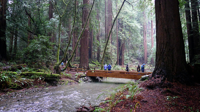 hiking in John Muir Woods - photo by ok sk onFlickr CC