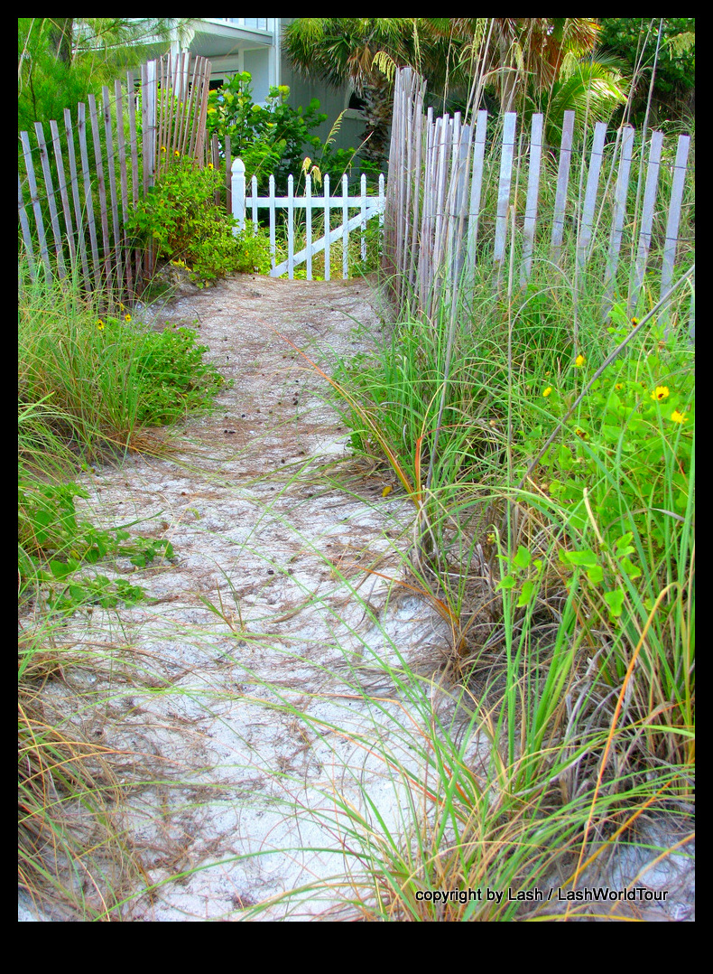 private lane to the beach 1