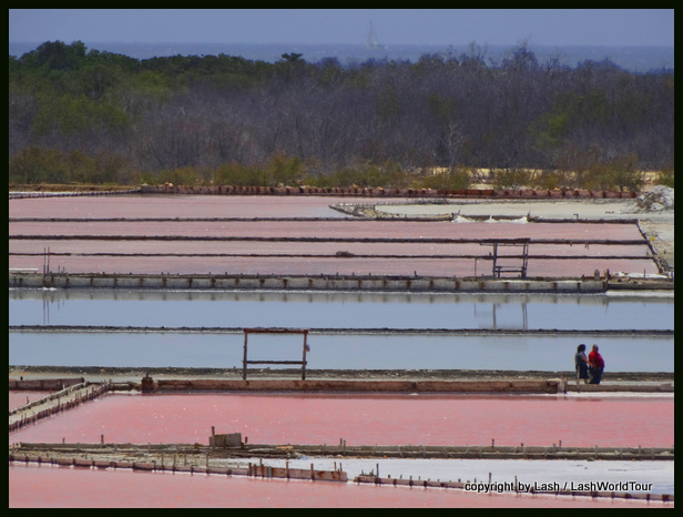 Pink salt fields Cabo Rojo