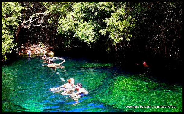 Xcacel cenote - Tulum - Mexico