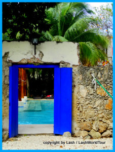 pool & gardens at hostel in Merida