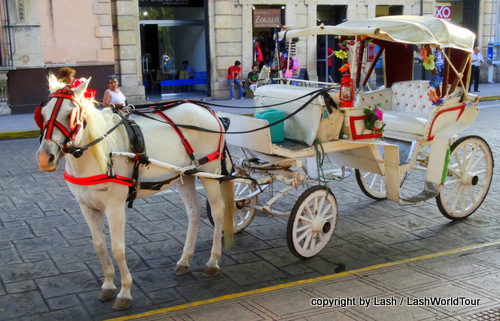 horse & cart in Merida - Mexico