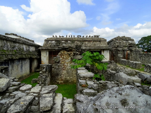 Palenque Mayan ruins - Mexico