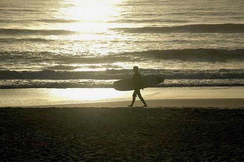 surfer at Florida beach - photo by Justin  Henry on Flcikr CC