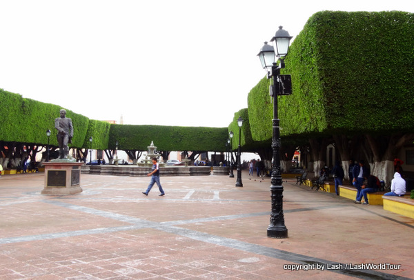 sculpted trees in a Gueretaro plaza
