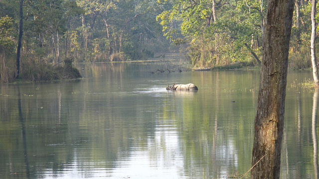 Chitwan NAtional Park - photo by Stefanos Nikologianis on Flickr CC