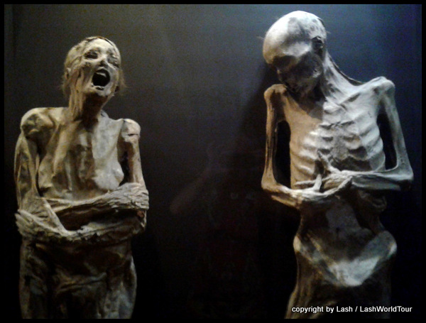 naturally preserved mummies on display at the Mummy Museum in Guanajuato