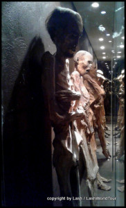 glass case of mummies