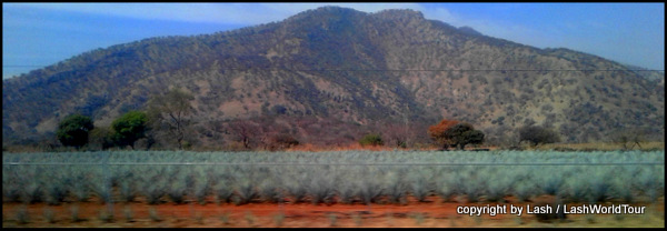 beautiful countryside with agave fields near Tequila