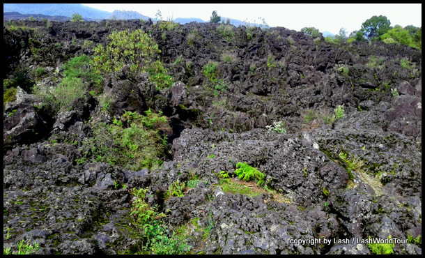 sharp black lava rock