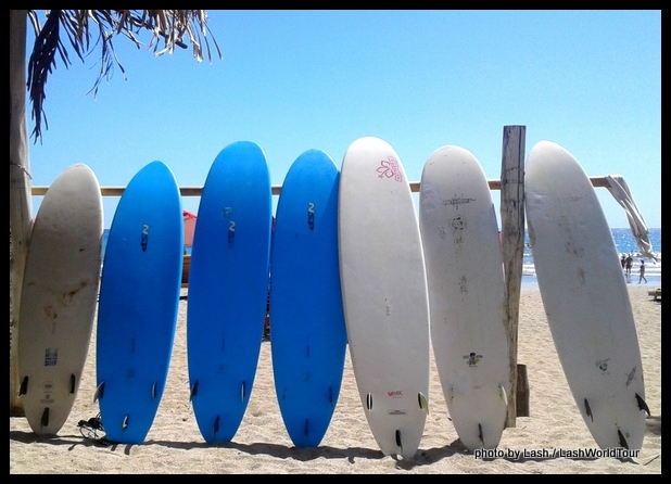 surf boards for rent